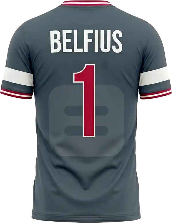 Belfius businesskantoor Heule — shirt achterkant