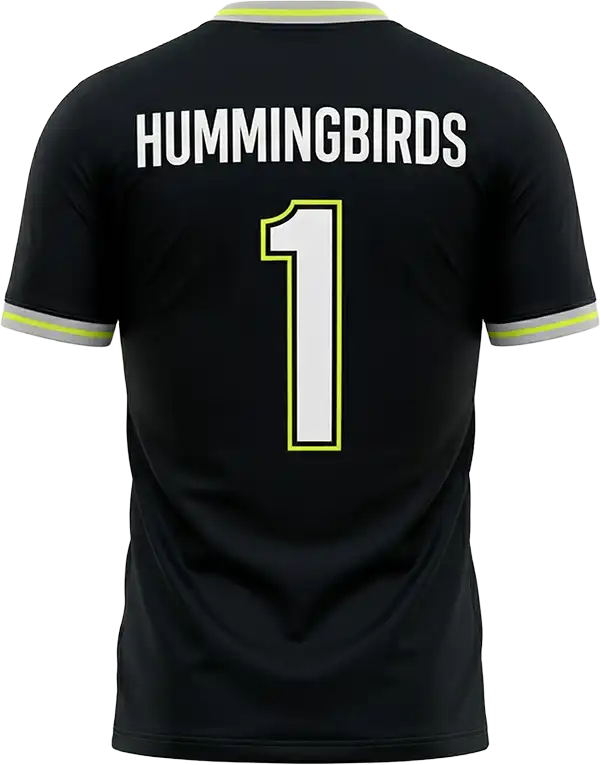Hummingbirds — shirt achterkant